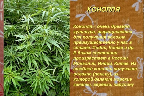 Взломали аккаунт кракен