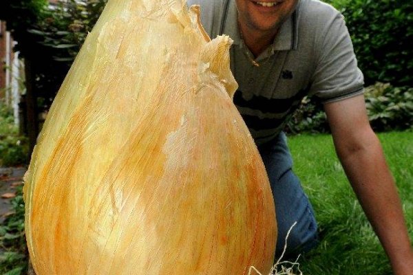 Где купить наркотиков