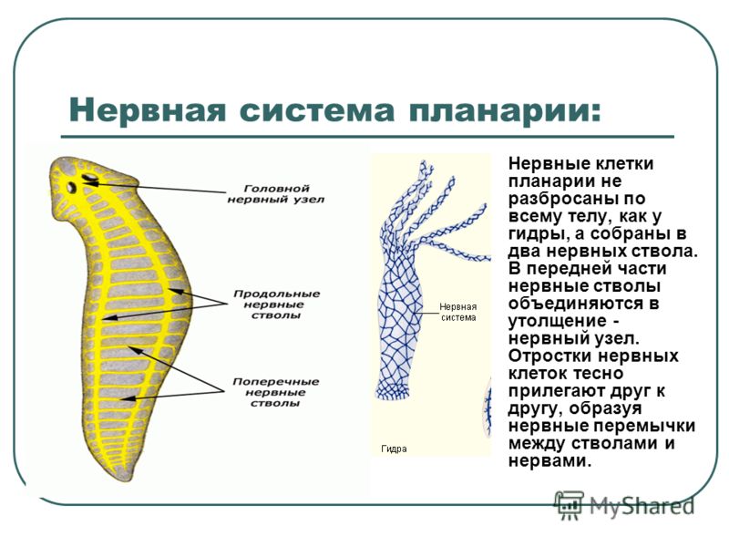 Ссылка на кракен 11
