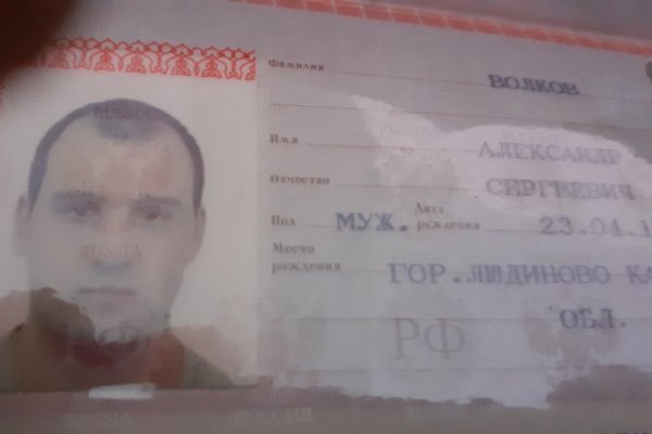 Актуальные ссылки на кракен тор