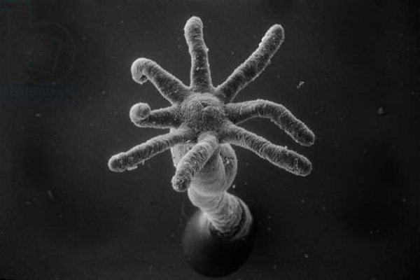 Kraken пользователь не найден при входе
