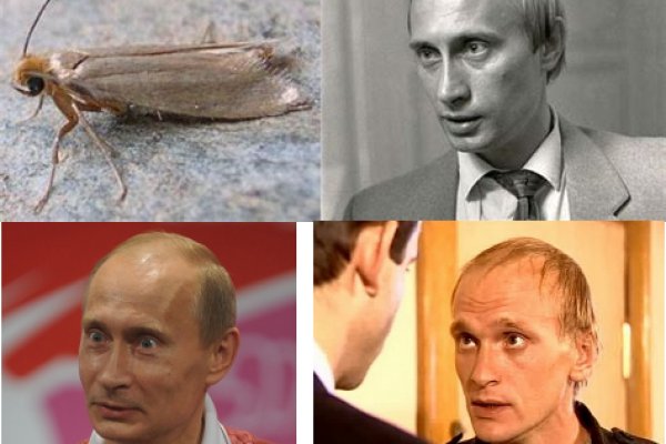 Кракен через тор