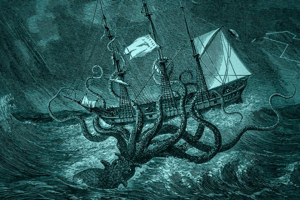 Kraken 24 top
